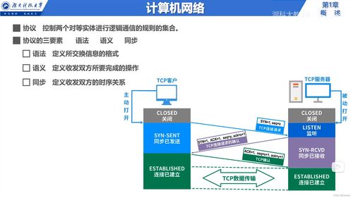 計算機網(wǎng)絡(luò)基礎(chǔ)知識概述